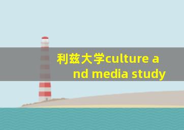 利兹大学culture and media study